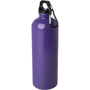 Oregon egyfal rozsdamentes acl palack, 750 ml, lila